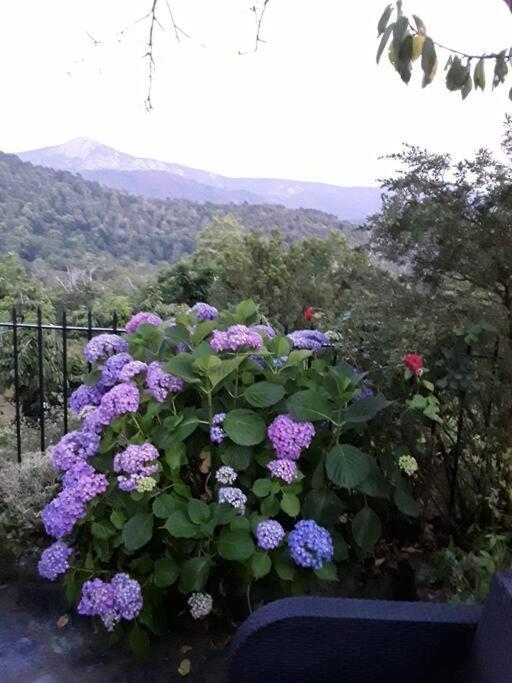 Petit Coin De Paradis 에비사 외부 사진